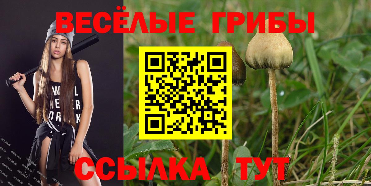 Галлюциногенные грибы MAGIC MUSHROOMS  Вход с VPN  Псилоцибиновые грибы Magic Shrooms  Дербент 