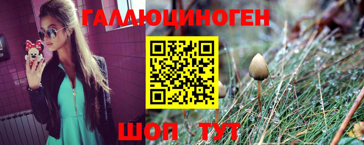 Галлюциногенные грибы GOLDEN TEACHER Дербент